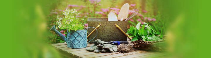 pflanztisch kategorieeinstiegsbanner